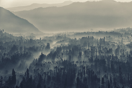Bromo caldera into the fogの写真素材