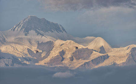 Microlight flying over the Himalayasの写真素材