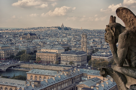 Notre Dame's gargoyle in Paris panoramaのeditorial素材