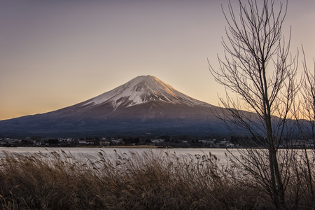Mount Fuji viewed from Kawaguchi lake at sunset, Japanの写真素材
