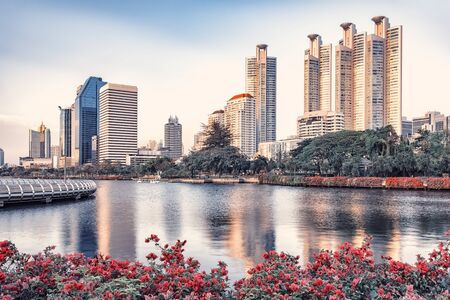 Benjakitti park at sunset in Bangkokの写真素材