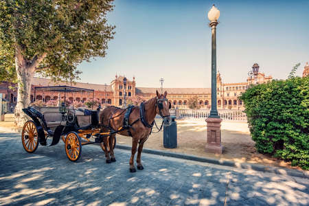 Plaza de Espana in Seville, Andalusia, Spainの写真素材