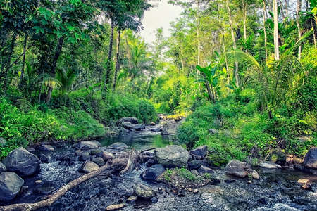 River crossing a deep jungle in Central Java, Indonesiaの写真素材
