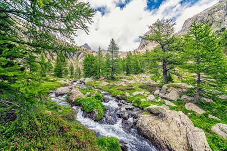 Mercantour National Park in Franceの写真素材