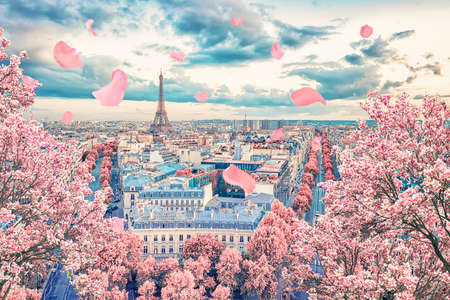 Paris city in the springtimeの写真素材