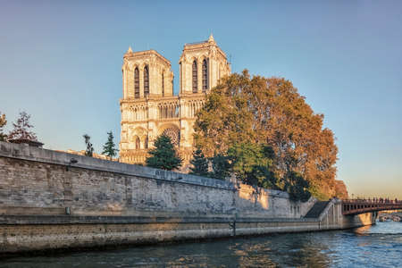 Cathedral Notre-Dame in Parisの写真素材