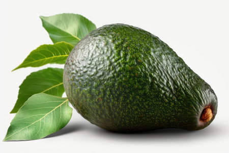 Avocado with leaves isolated on white background. 3d illustration.の素材