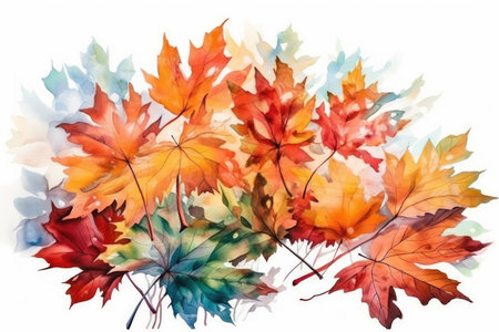 Autumn watercolor background with maple leaves. Hand drawn illustration.の素材