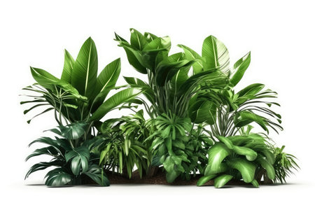 3d render of a group of tropical plants isolated on white backgroundの素材