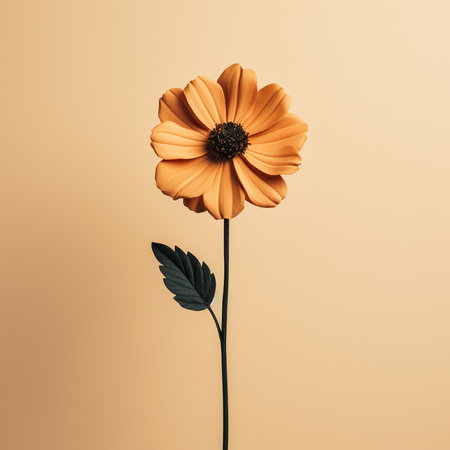 One orange flower isolated on beige background. Minimal style.の素材