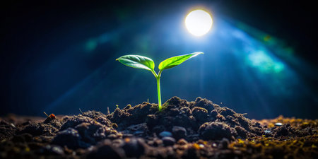 Night Bloom: Tiny Sprout Emerging from Dark Earthの素材