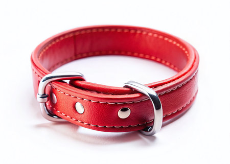 Red Dog Collar, Buttoned, Close-up, Isolated on White Background - Pet Supplies Photographyの素材