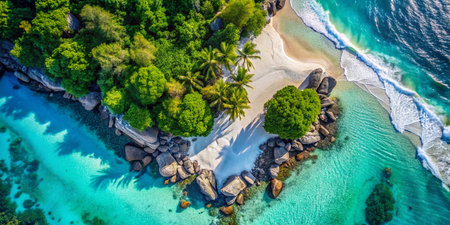 Seychelles Heart Shaped Sand Formation Aerial Drone Viewの素材
