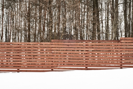 fence near the forestの写真素材