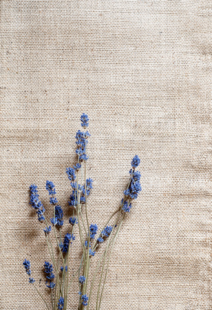sack texture background with dry blue flowersの写真素材