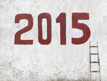 new year 2015 painted on the wall, year of the goatの写真素材