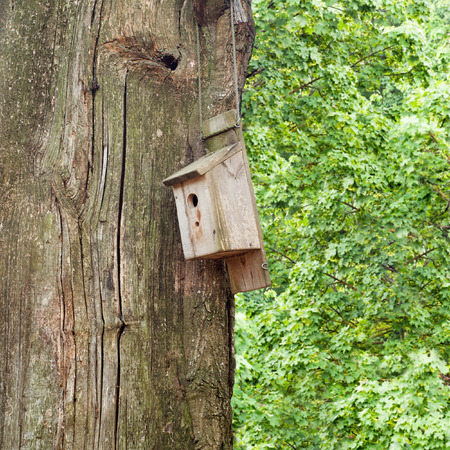 Wooden birdhouse hangin on a tree background