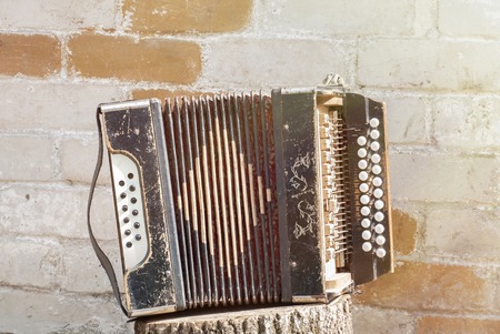 accordion on the stump near the wall background