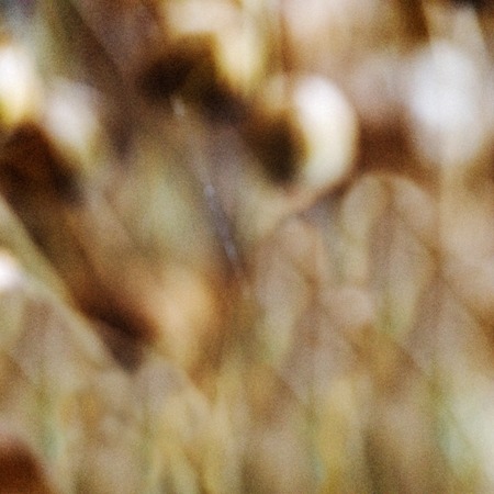 blurry unfocused background with light leaks and grainの写真素材