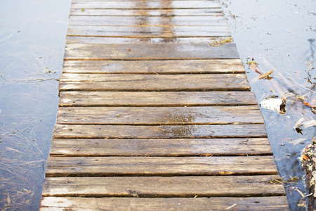 Wooden board walk on bog land in springの写真素材