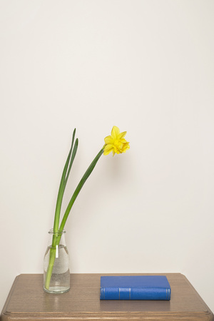 Yellow narcissus in vase and blue book on the tableの写真素材