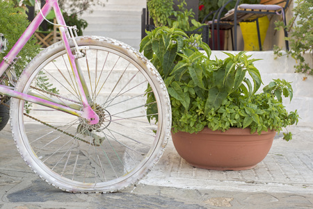 Street decoration near the cafe with flowers and Bicycleの写真素材