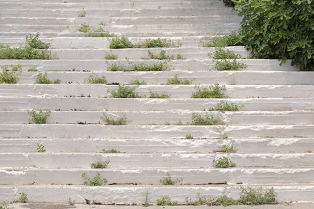 white dirty stairs overgrown with moss and grassの写真素材