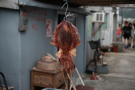 Octopoda of Tai O , Lantau Islandの写真素材