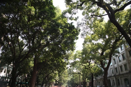 Shamian Island, Guangzhou, Chinaのeditorial素材