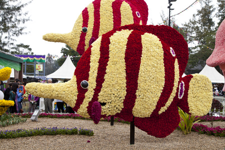 Hong Kong Flower Show 2014のeditorial素材