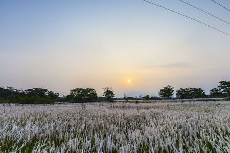 Sunset at North East New Territories, Hong Kongの写真素材