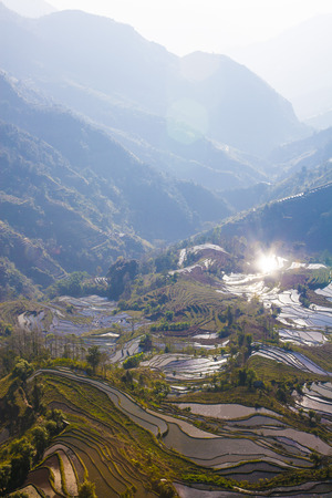 Terraced rice fields in Laohuzui Yuanyang Countyの写真素材