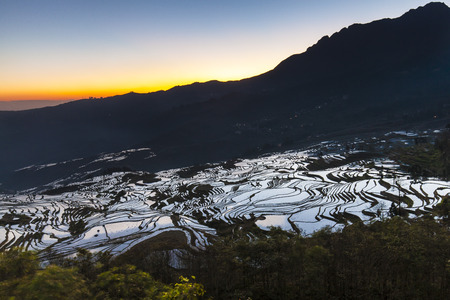 Sunrise of terraced rice fields in Laohuzui Yuanyang Countyの写真素材