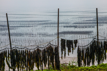 The beach of Xiapuの写真素材
