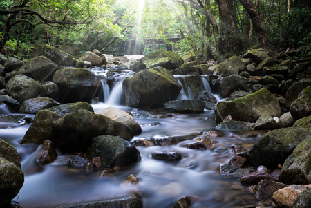 Shing Mun Reservoirの写真素材