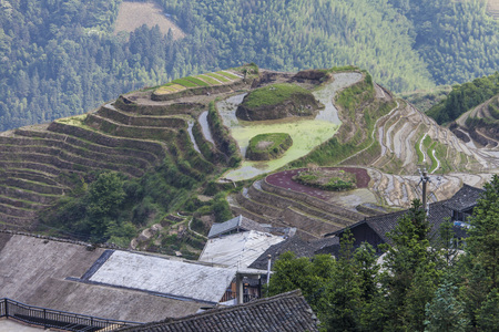 Longsheng Rice Terrace in Longsheng county, Guangxi Province, southern Chinaの写真素材