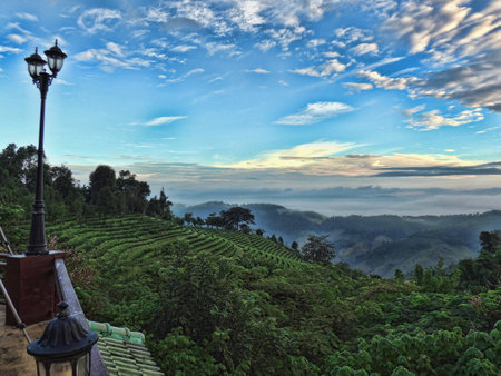 Mae Salong Chiang Rai の写真素材