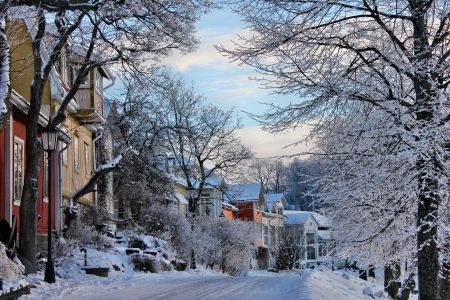 Winterscenery の写真素材