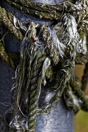 Rope entanglementの写真素材