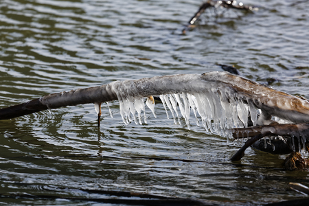 Winter River and iciclesの写真素材