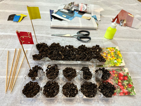 Plastic recycling. Using egg plastic container for seedling tomatoes. DIY for children.の写真素材