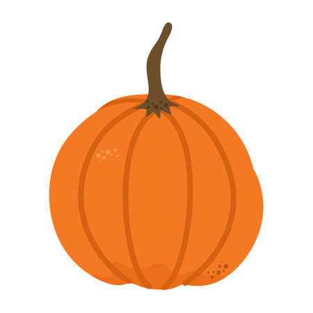 Orange Classic Vegetable pumpkin. Vector. Autumn pumpkin symbol for Halloween or Thanksgiving. Flat design. Hand drawnのイラスト素材