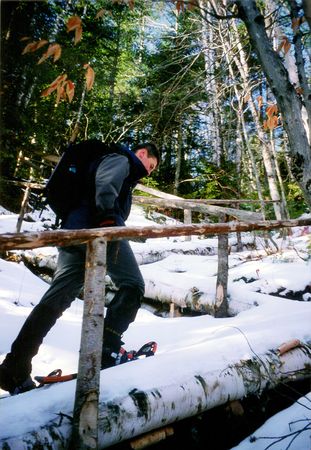 Snowshoeing in bitter cold of January, Charlevoix, Quebecの写真素材