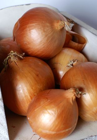 Helpful in reducing cholesterol and preventing blood clots, Onions originated in the northeren hemishpere and have bee cultivated for thousands of years.の写真素材