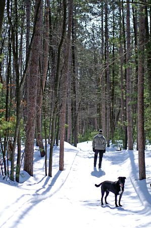 Stand off between man and his best friend on the Trailの写真素材