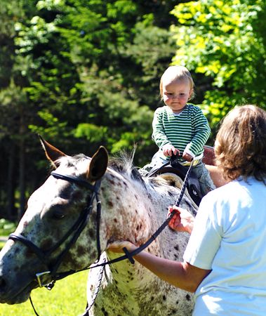 Little girl on a big horseの写真素材
