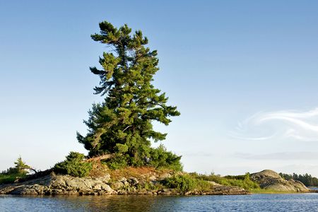 A lonely windswept pine tree on a rocky outcrop in Georgian Bay, Canadaの写真素材