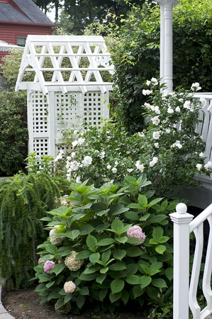 White Arbor surrounded by garden plants in a residential landscapeの写真素材