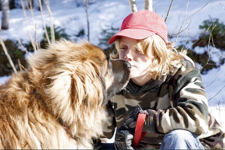 A teenage boy and a Leonberger dog share a touching moment.の写真素材