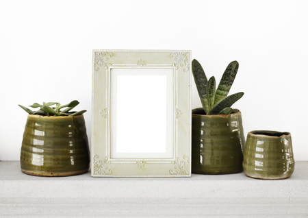 Antique photo frame on white background with green natural plantsの写真素材